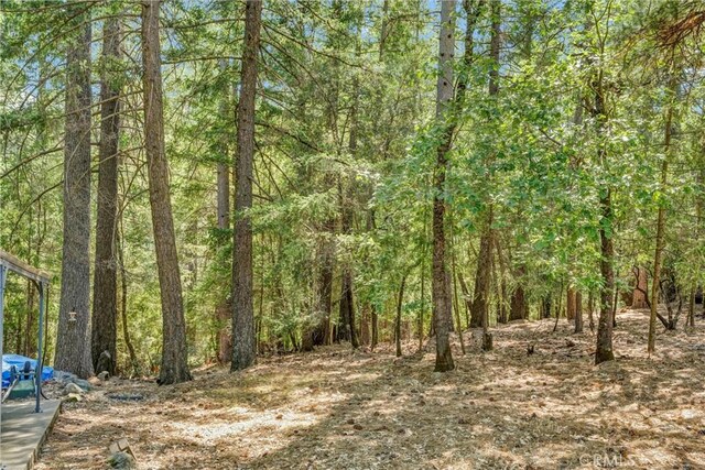 16635 Mountain View Dr, Cobb, CA 95426 - view of wooded area