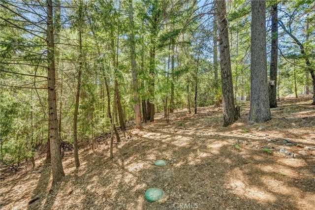 16635 Mountain View Dr, Cobb, CA 95426 - view of wooded area