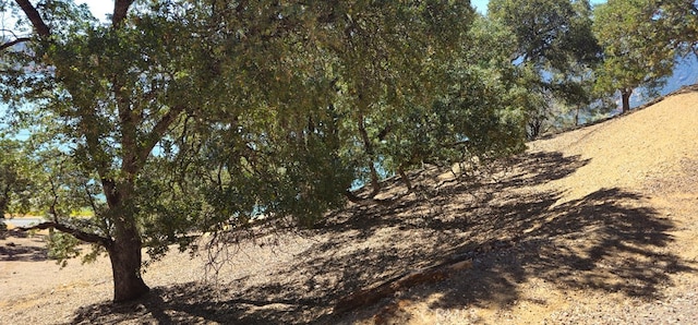10981 Pingree Rd, Clearlake Oaks, CA 95423