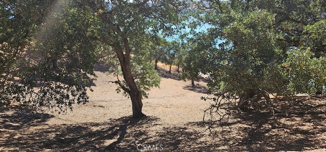 10981 Pingree Rd, Clearlake Oaks, CA 95423