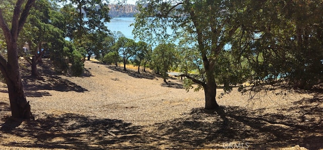 10981 Pingree Rd, Clearlake Oaks, CA 95423