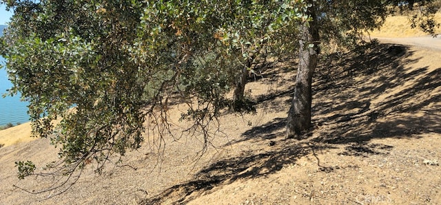 10981 Pingree Rd, Clearlake Oaks, CA 95423