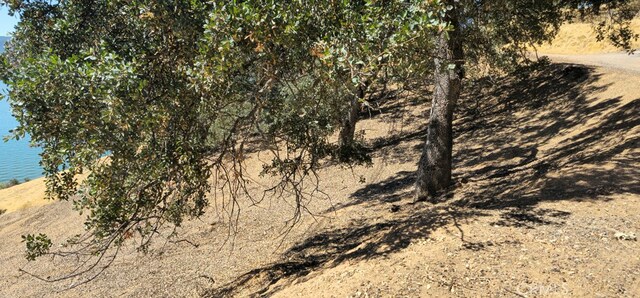 10981 Pingree Rd, Clearlake Oaks, CA 95423 - photo 13
