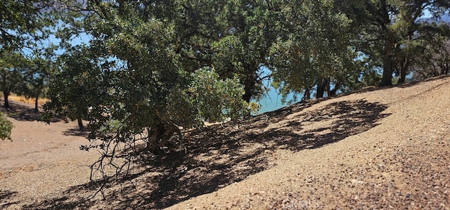 10981 Pingree Rd, Clearlake Oaks, CA 95423