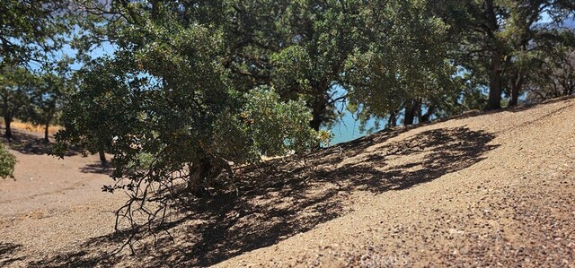 10981 Pingree Rd, Clearlake Oaks, CA 95423 - photo 3