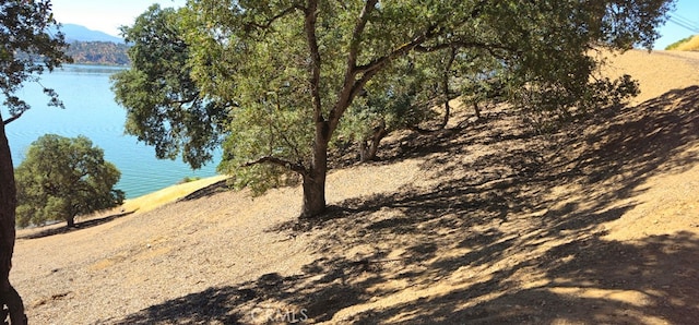 10981 Pingree Rd, Clearlake Oaks, CA 95423