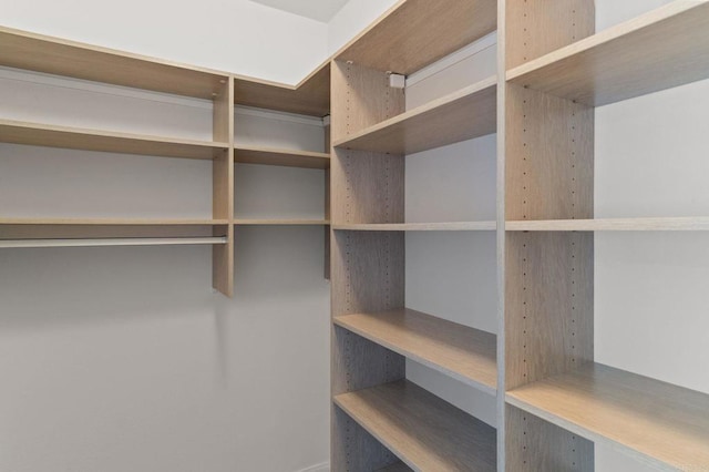 2534 Navarra Dr Unit C, Carlsbad, CA 92009 - view of walk in closet