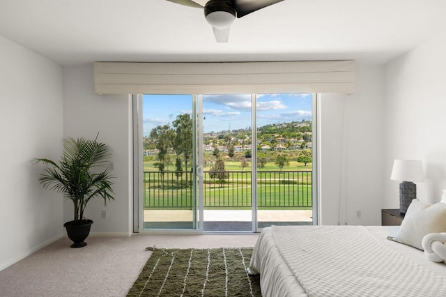 2534 Navarra Dr Unit C, Carlsbad, CA 92009 - photo 22