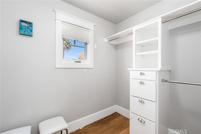 2677 Garfield St, Carlsbad, CA 92008 - photo 28