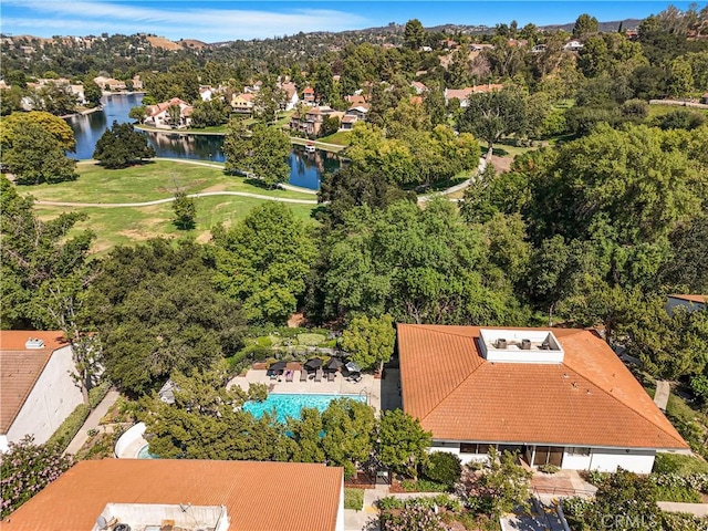 23675 Park Capri Unit 24, Calabasas, CA 91302 - photo 49
