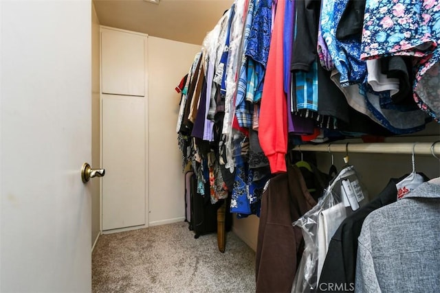 19536 Kittridge St, Reseda, CA 91335 - walk in closet with carpet floors