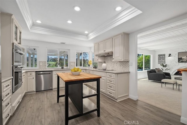 26532 Via Marina, Mission Viejo, CA 92691 - kitchen with stainless steel appliances, under cabinet range hood, a raised ceiling, tasteful backsplash, and ornamental molding