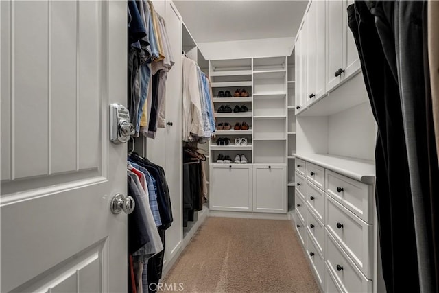 44277 Reidel St, Temecula, CA 92592 - spacious closet featuring light colored carpet