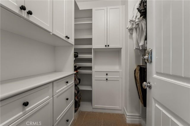 44277 Reidel St, Temecula, CA 92592 - view of walk in closet