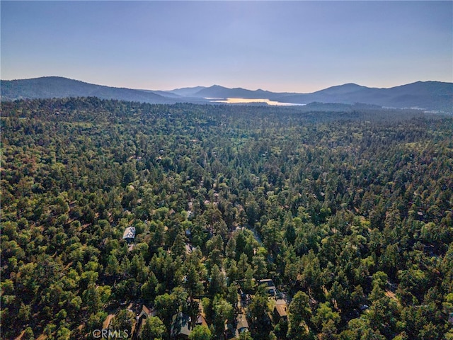 873 Holmes Ln, Sugarloaf, CA 92386 - photo 11