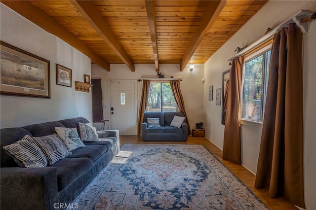 873 Holmes Ln, Sugarloaf, CA 92386 - photo 5