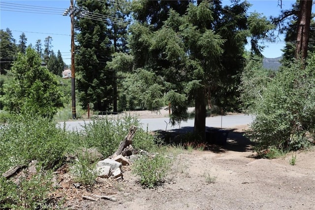 1013 Knickerbocker Rd, Big Bear Lake, CA 92315