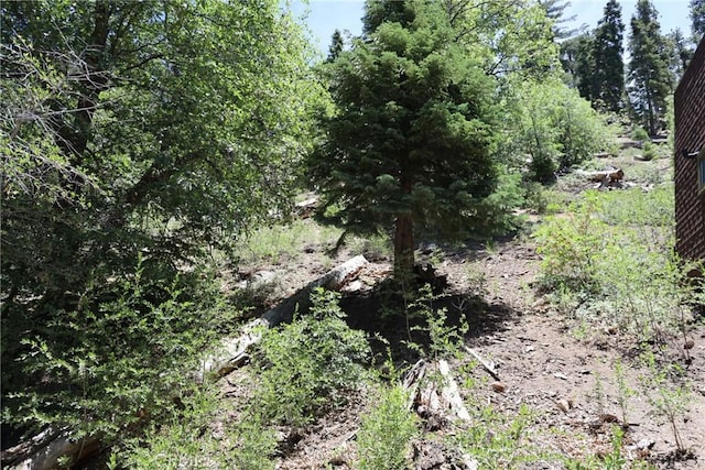1013 Knickerbocker Rd, Big Bear Lake, CA 92315