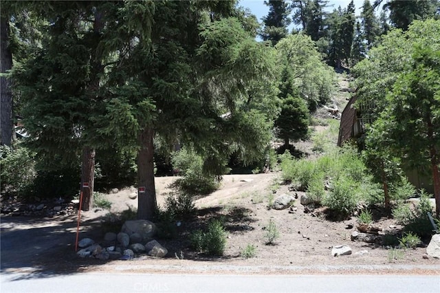 1013 Knickerbocker Rd, Big Bear Lake, CA 92315