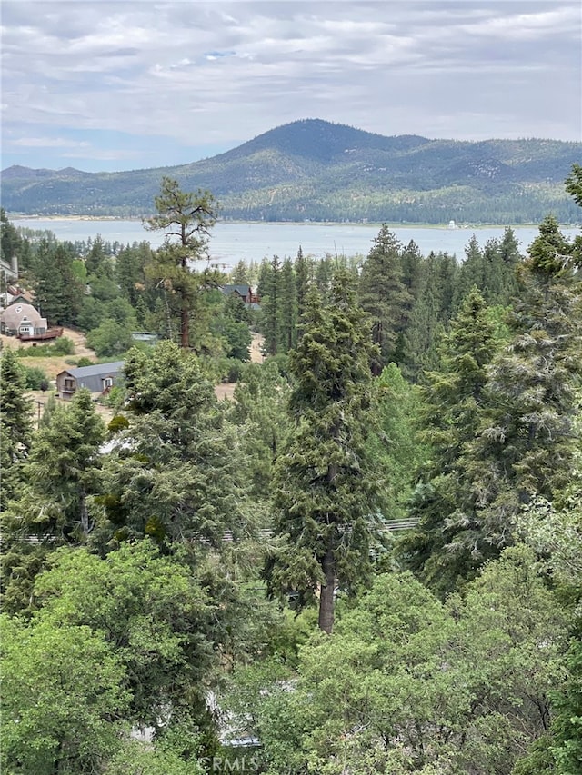 1013 Knickerbocker Rd, Big Bear Lake, CA 92315