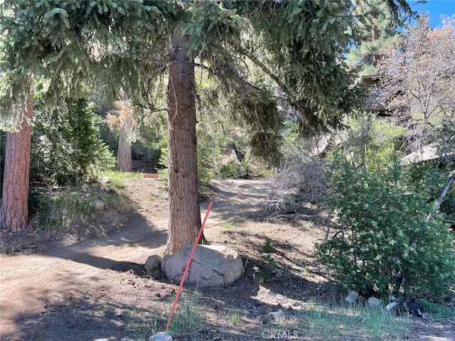 1013 Knickerbocker Rd, Big Bear Lake, CA 92315
