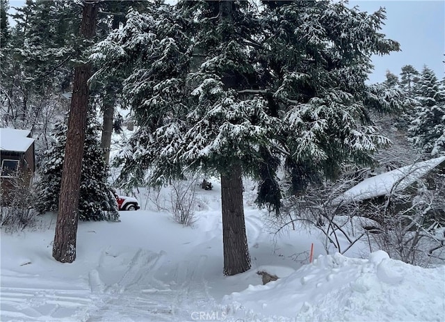 1013 Knickerbocker Rd, Big Bear Lake, CA 92315