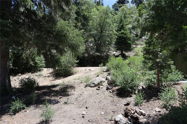 1013 Knickerbocker Rd, Big Bear Lake, CA 92315