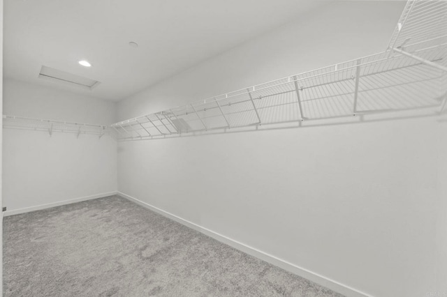 28339 Levi Way, Menifee, CA 92585 - walk in closet with attic access and carpet floors
