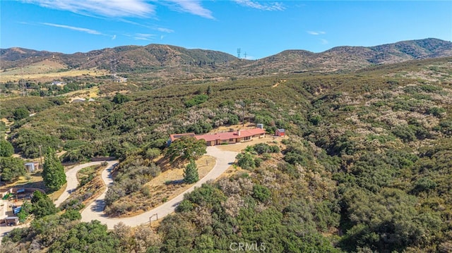 14320 Kiptree Dr, Lake Hughes, CA 93532 - view of mountain backdrop with a heavily wooded area