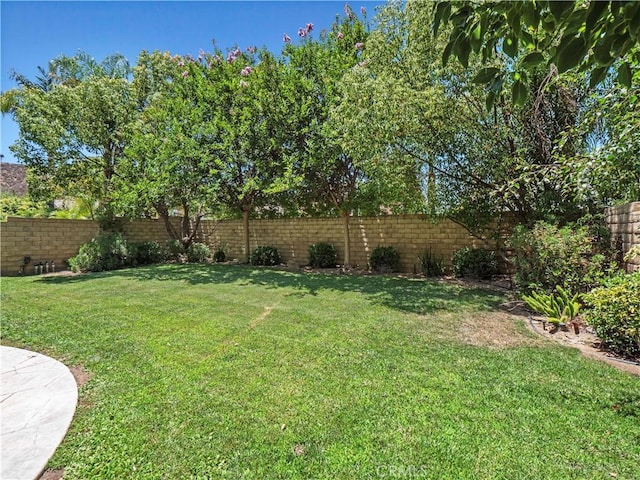 28323 Roman Ct, Saugus, CA 91350 - view of yard
