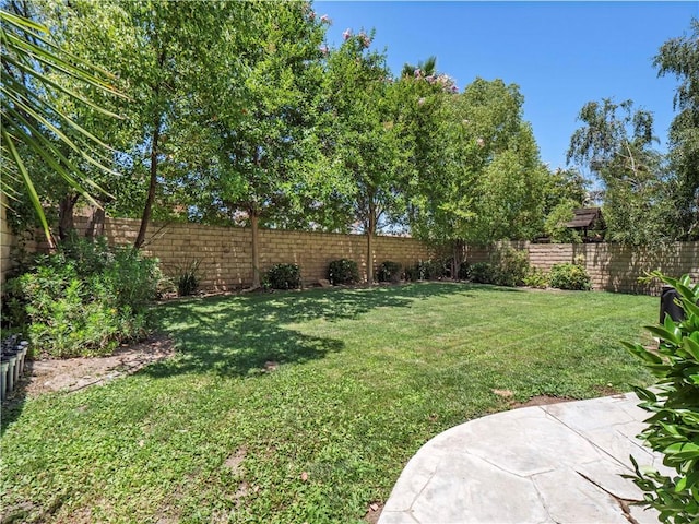 28323 Roman Ct, Saugus, CA 91350 - view of fenced backyard