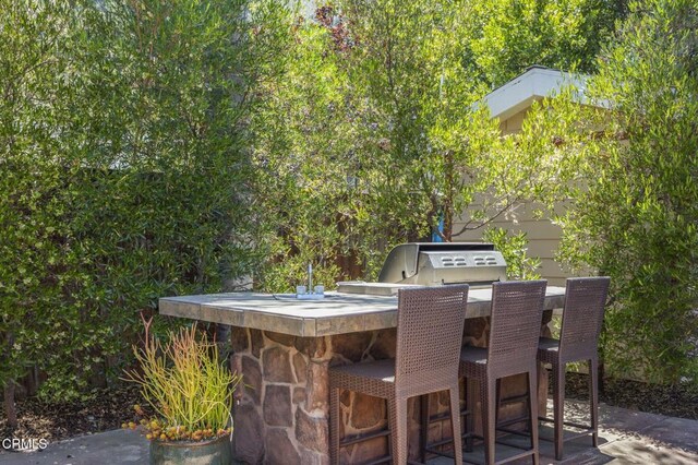 1687 Kenewa St, Ojai, CA 93023 - photo 42