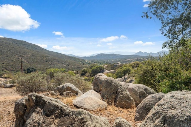 1480 Round Potrero Rd, Potrero, CA 91963 - view of mountain background