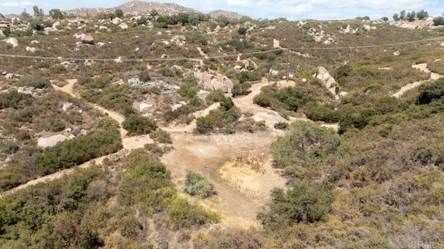 1480 Round Potrero Rd, Potrero, CA 91963 - mountain view
