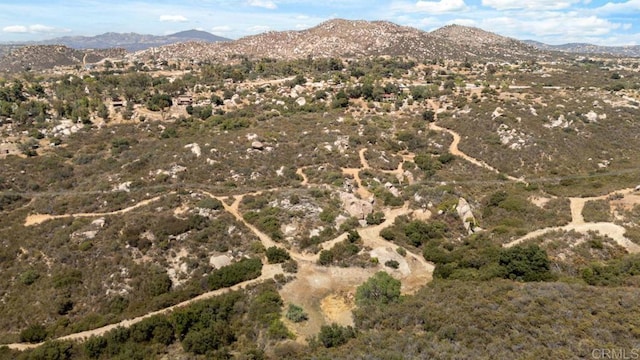 1480 Round Potrero Rd, Potrero, CA 91963 - view of mountain backdrop
