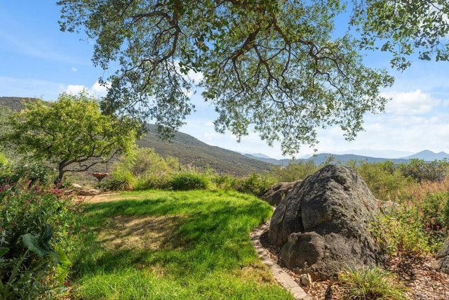 1480 Round Potrero Rd, Potrero, CA 91963 - view of mountain backdrop