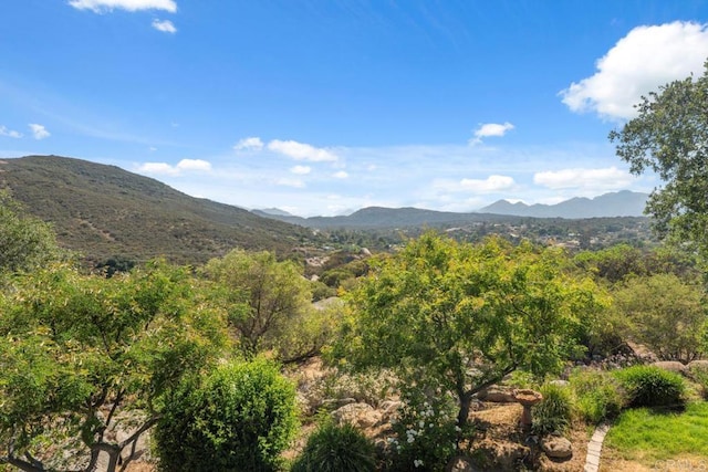 1480 Round Potrero Rd, Potrero, CA 91963 - view of mountain background with a heavily wooded area