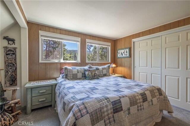 42730 Sonoma Dr, Big Bear Lake, CA 92315 - photo 15