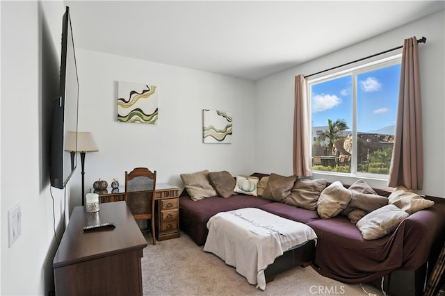 11715 Periwinkle Pl, Jurupa Valley, CA 91752 - living room with light carpet
