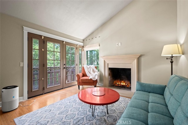 27681 Paseo Esteban, San Juan Capistrano, CA 92675 - living area with wood finished floors, healthy amount of natural light, lofted ceiling, and a lit fireplace