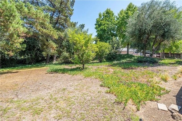 734 Puma Canyon Ln, Glendora, CA 91740 - view of yard