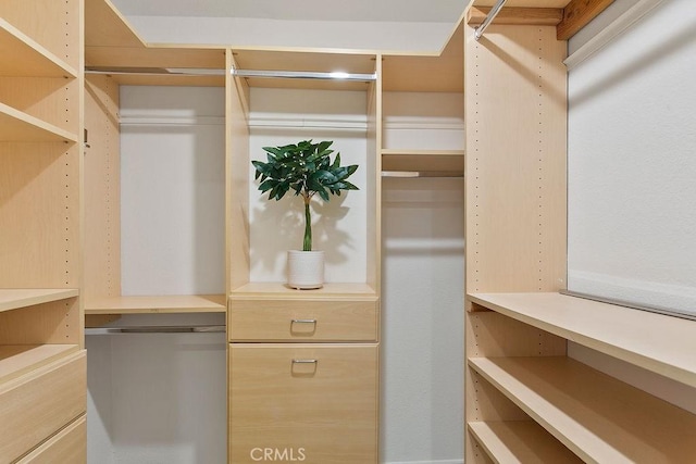 12400 Montecito Rd Unit 222, Seal Beach, CA 90740 - view of walk in closet