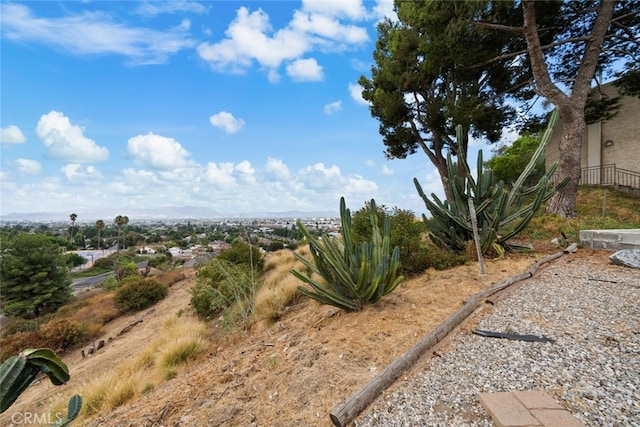 9778 Via Roma, Burbank, CA 91504 - view of yard