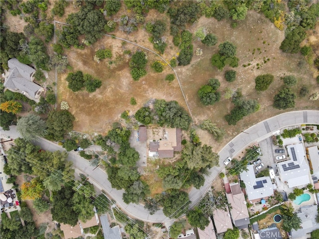 7700 Mcgroarty St, Tujunga, CA 91042 - photo 3