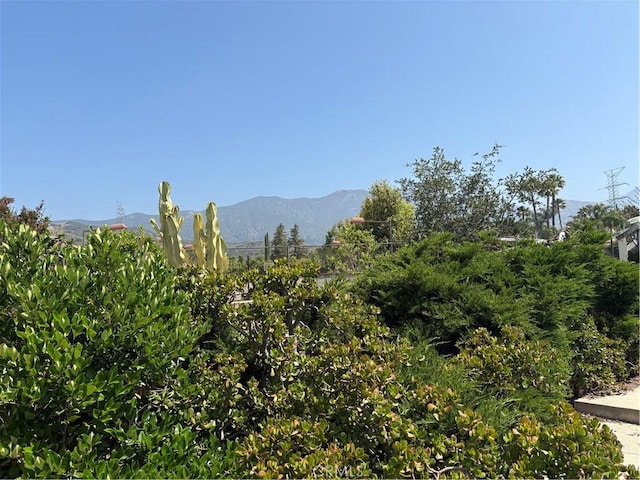 197 Limestone Rd, Claremont, CA 91711 - mountain view