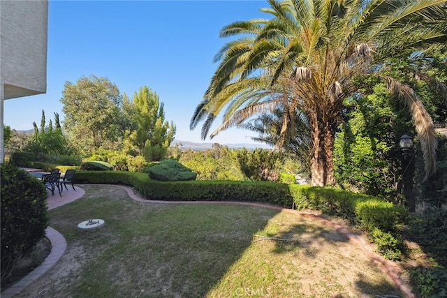 8042 Masefield Ct, West Hills, CA 91304 - view of grassy yard featuring a patio area