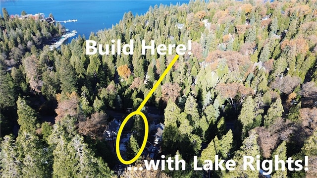 104 Fremont Rd, Lake Arrowhead, CA 92352