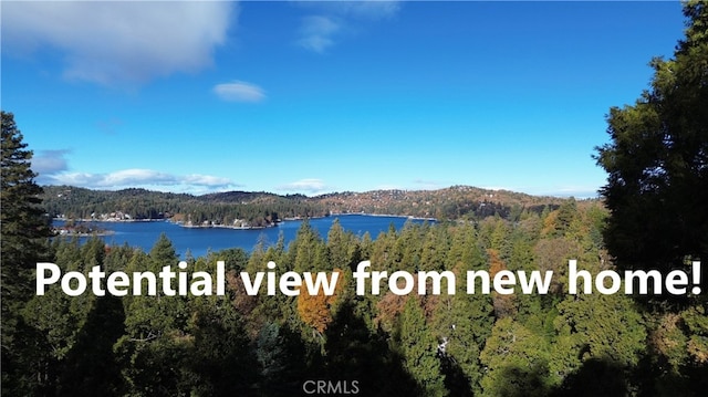 104 Fremont Rd, Lake Arrowhead, CA 92352