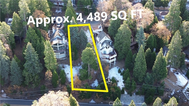 104 Fremont Rd, Lake Arrowhead, CA 92352