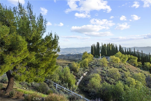 30470 Sloan Canyon Rd, Castaic, CA 91384 - photo 47